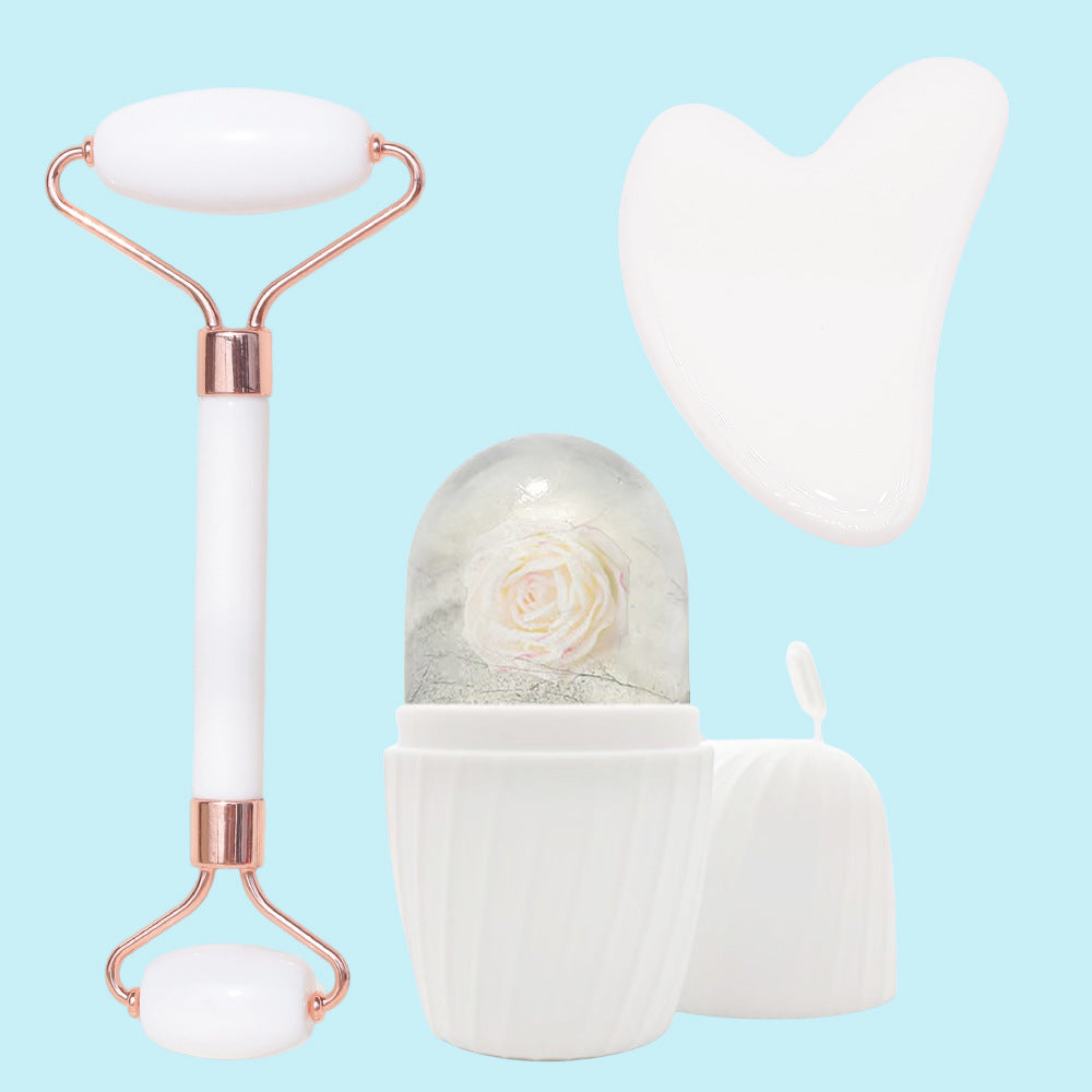 3-Piece Facial Ice Mold